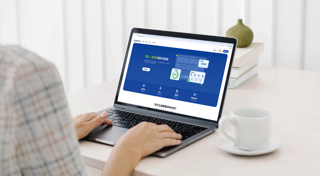 极风WMS：简洁、易用的海外仓系统
